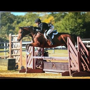 Meet your Posher, Leigh